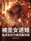 被圣女退婚,我分走百万倍灵根天赋!